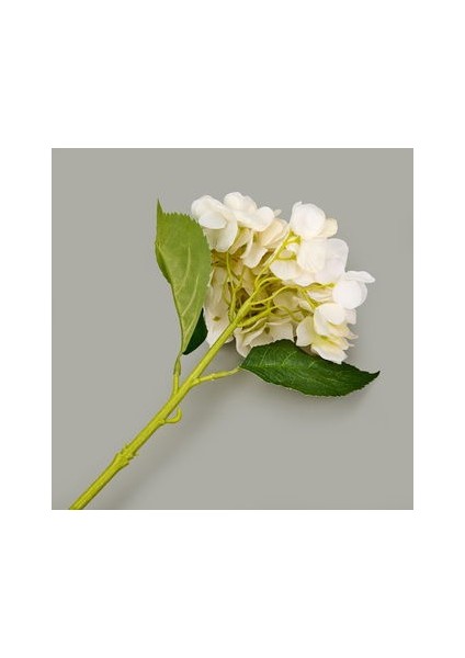 Deco Ortanca Dal Çiçek - Krem - 37 cm fiyatları