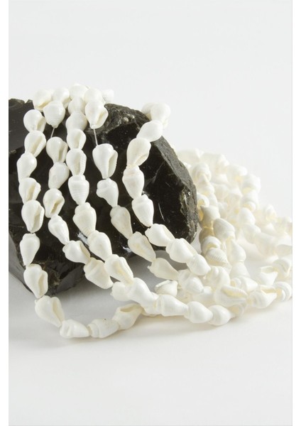 Istiridye Deniz Kabuğu 1 Dizi