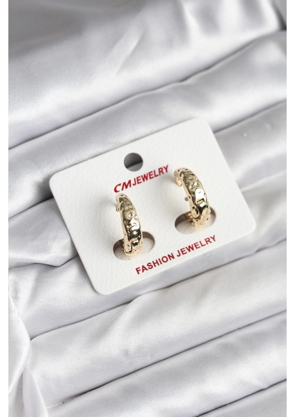 14K Gold Renk Kaplama cm Kadın Küpe - TJ-BKP11420