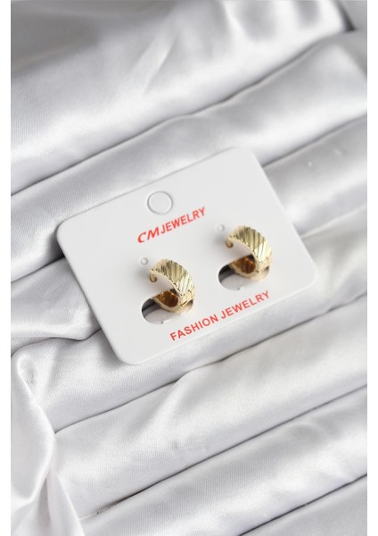 14K Gold Renk Kaplama cm Kadın Küpe - TJ-BKP11413