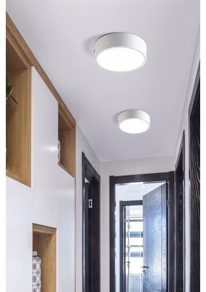 24W Sarı LED Tavan Lambası, Ofis ve Kiler Için, Tak Çalıştır, 220V