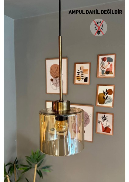 Lille Cam Bal Rengi Sarkıt Avize, Şık ve Şeffaf Tasarım fiyatları