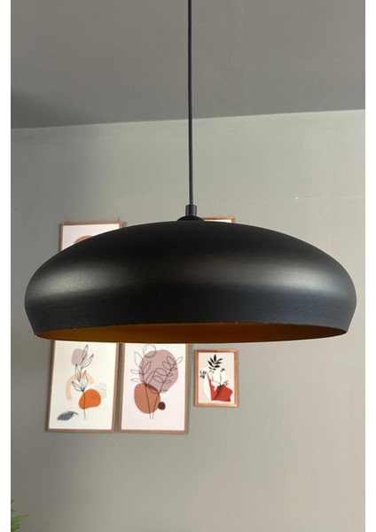 Şık Siyah Tekli Iç Mekan Avize, Modern Aydınlatma ve Dekorasyon