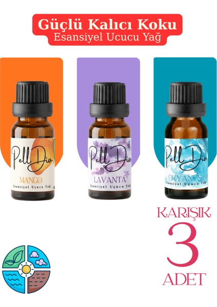 3'lü Esansiyel Uçucu Koku Yağı Buhurdanlık Yağı Difüzör Esansı Hobi Esans Ortam Oda 10ML-4