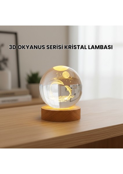 3D Yunus Desenli Kristal Küre Ahşap Tabanlı Işıklı Dekor Objesi