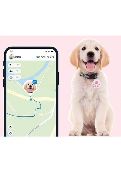Mobil Uygulamalı Evcil Hayvan Takip Cihazı indirimleri