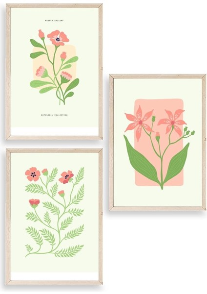 Botanik Üçlü Ahşap Çerçeveli Tablo