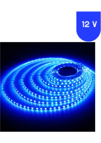 12 Volt 5 mm 2835 Smd Mavi Iç Mekan 120 Ledli 5 Metre Şerit LED
