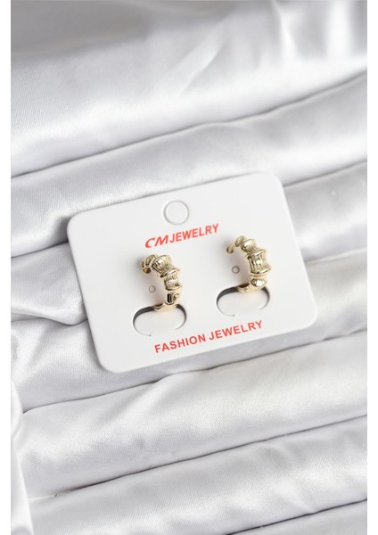 14K Gold Renk Kaplama cm Kadın Küpe - TJ-BKP11403