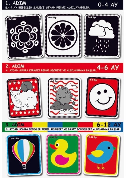 2’li Set Flash Cards Bebeğimin Ilk Zeka Kartları ve Ilk Kütüphanem Erken Eğitim Kitap Seti-1 fiyatları