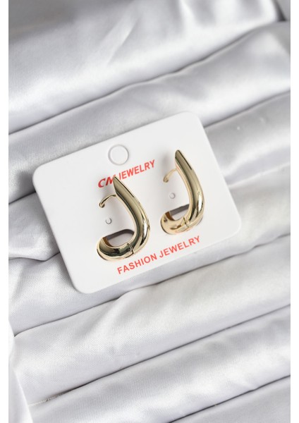 14K Gold Renk Kaplama CM Kadın Küpe - TJ-BKP11424