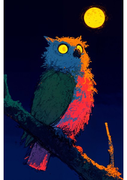 Gece Işığında Baykuş Silueti Kanvas Tablo