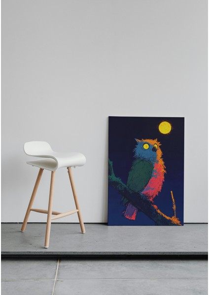 Gece Işığında Baykuş Silueti Kanvas Tablo fiyatları