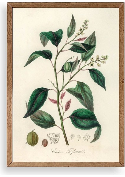 Yaprak Ahşap Çerçeveli Tablo