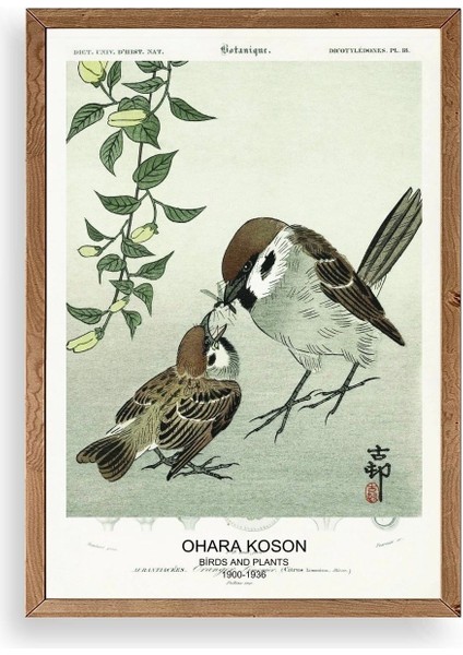 Kuşlar Ahşap Çerçeveli Tablo