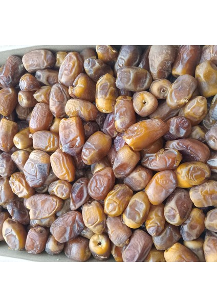 Toptan Medine Sukkari Taze Hurma 10 kg