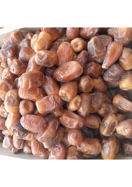 Toptan Medine Sukkari Taze Hurma 10 kg fiyatları