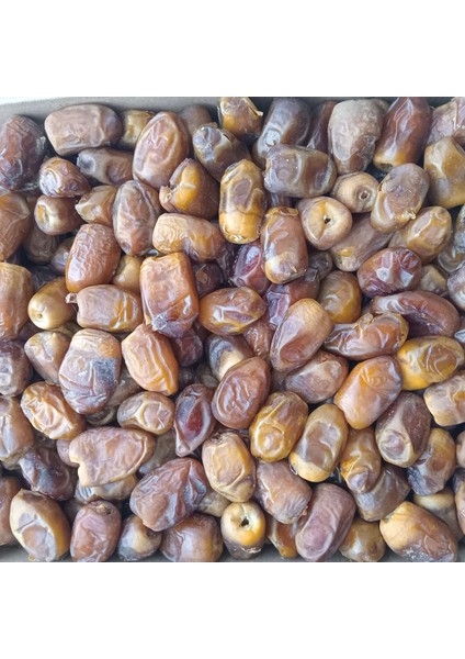 Toptan Medine Sukkari Taze Hurma 10 kg modelleri