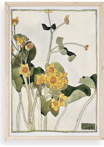 Marsh Marigold Ahşap Çerçeveli Tablo