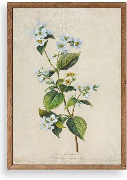 Çiçek Ahşap Çerçeveli Tablo