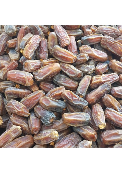 Toptan Medine Mebrum Ekonomik Hurma 10KG fiyatları