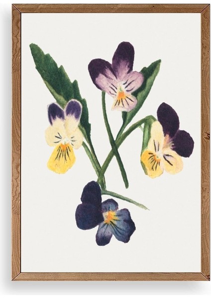 Çiçekler Ahşap Çerçeveli Tablo