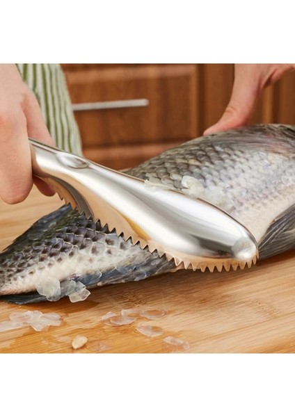 Pratik Balık Pulu Kazıyıcı At