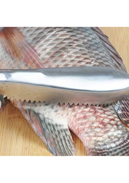 Pratik Balık Pulu Kazıyıcı At modelleri