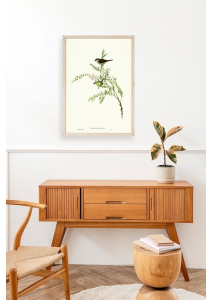 Daldaki Kuş Ahşap Çerçeveli Tablo modelleri