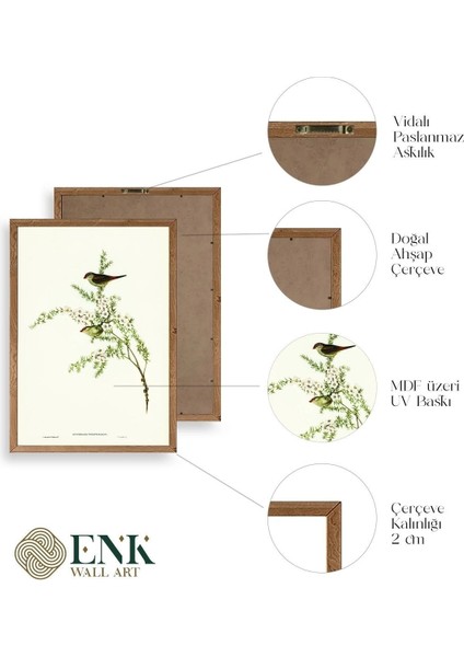 Daldaki Kuş Ahşap Çerçeveli Tablo fırsatları