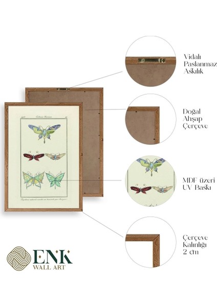 Kelebek Ahşap Çerçeveli Tablo fırsatları