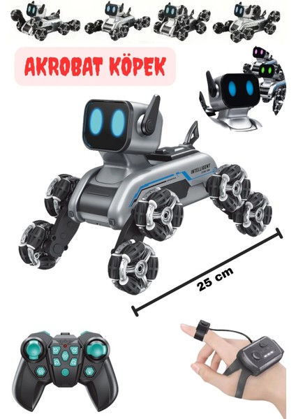 Uzaktan Kumandalı Bilekten Kontrollü El Sensörlü Müzikli LED Işıklı Stunt Akrobat Robot Köpek Araba