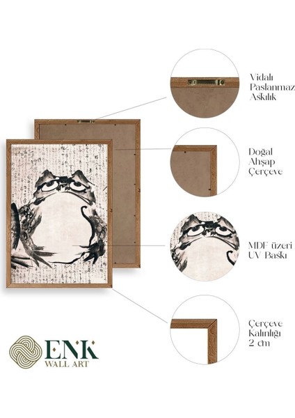 Kurbağa Ahşap Çerçeveli Tablo fırsatları