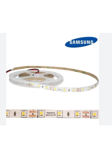 12 Volt 2835 Samsung 60 LED 6500 K Beyaz Iç Mekan 5 Metre Şerit LED fiyatları