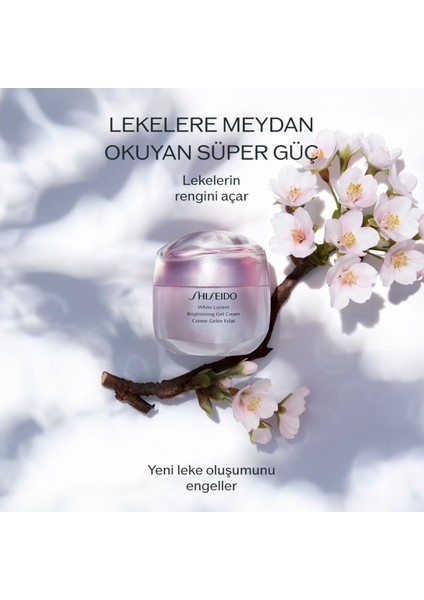 Cilt Bariyerini Güçlendiren ve Leke Karşıtı Bakım Seti modelleri