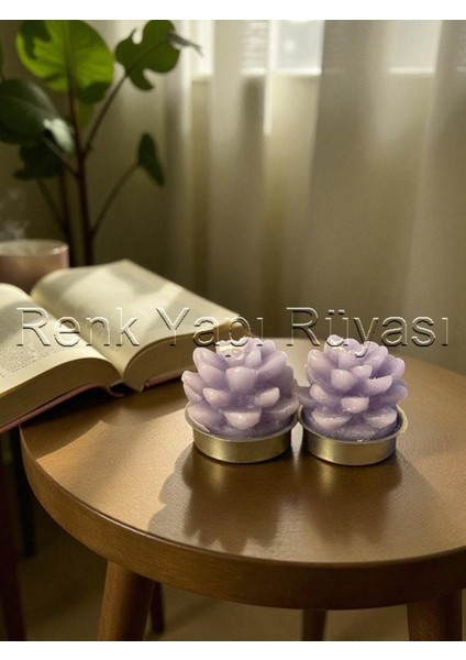 2'li Su Sükulenti Mumlar, Lotus Çiçeği ve Kaktüs Dekoratif Şık Tasarım