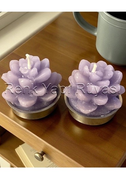 2'li Su Sükulenti Mumlar, Lotus Çiçeği ve Kaktüs Dekoratif Şık Tasarım fiyatları