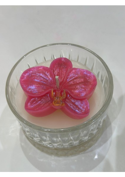 Şeffaf Cam Kasede Canlı Orkide Mumluğu, Şıklık ve Doğal Güzellik