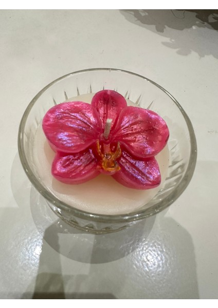 Şeffaf Cam Kasede Canlı Orkide Mumluğu, Şıklık ve Doğal Güzellik fiyatları