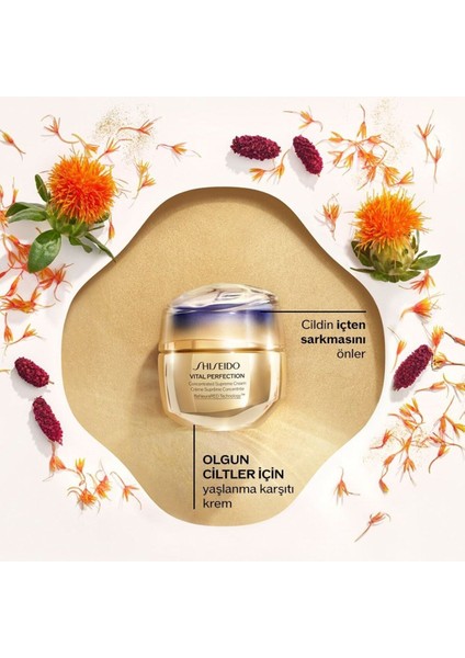 Cildi Sıkılaştıran, Toparlayan ve Yaşlanma Karşıtı Etkili Ikili Bakım Seti fırsatları