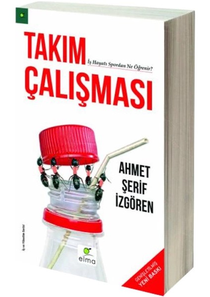 Takım Çalışması