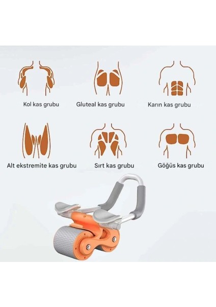 Ab Roller Karın Kası Egzersiz Tekerleği modelleri