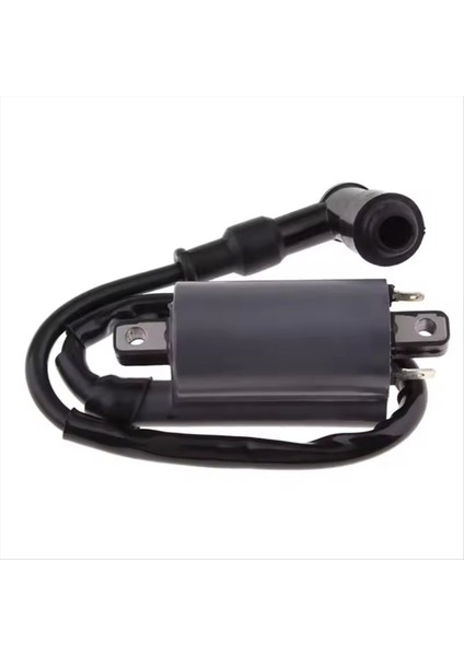Ateşleme Bobini Buyrang 260 260CC 300CC D300 G300 Motor Için Uygundur (Yurt Dışından)