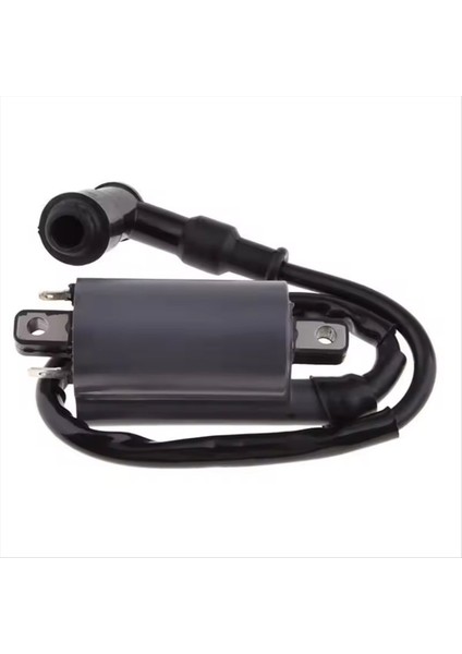 Ateşleme Bobini Buyrang 260 260CC 300CC D300 G300 Motor Için Uygundur (Yurt Dışından) fiyatları
