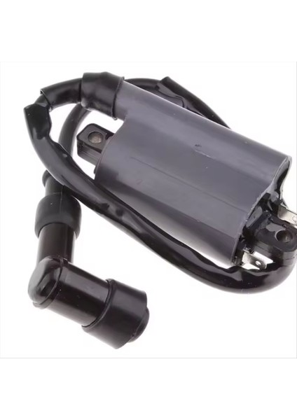 Ateşleme Bobini Buyrang 260 260CC 300CC D300 G300 Motor Için Uygundur (Yurt Dışından) modelleri