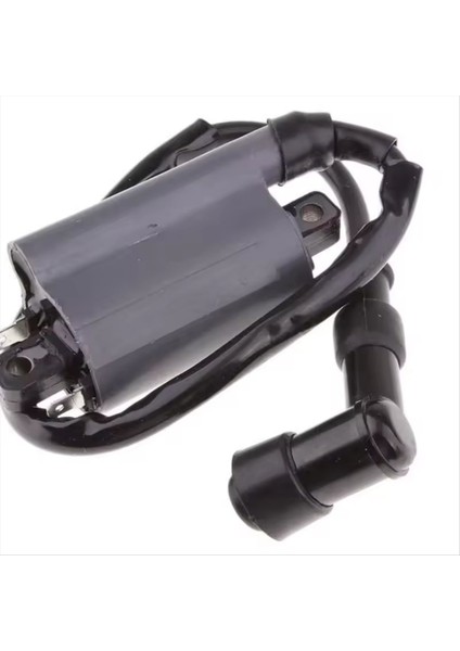 Ateşleme Bobini Buyrang 260 260CC 300CC D300 G300 Motor Için Uygundur (Yurt Dışından) fırsatları