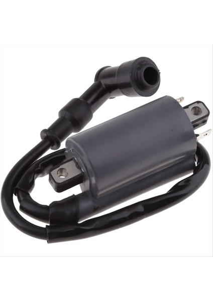 Ateşleme Bobini Buyrang 260 260CC 300CC D300 G300 Motor Için Uygundur (Yurt Dışından) indirimleri