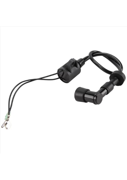 40HP 50HP 2 Strok Için Tekne Ateşleme Bobini Assy 3 Silindir Yamaha Dıştan Takma Motorlu Motor 6H5-85570 Tekne Aksesuarları Deniz (Yurt Dışından)