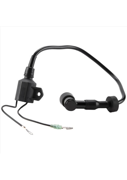 40HP 50HP 2 Strok Için Tekne Ateşleme Bobini Assy 3 Silindir Yamaha Dıştan Takma Motorlu Motor 6H5-85570 Tekne Aksesuarları Deniz (Yurt Dışından) fiyatları