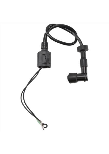 40HP 50HP 2 Strok Için Tekne Ateşleme Bobini Assy 3 Silindir Yamaha Dıştan Takma Motorlu Motor 6H5-85570 Tekne Aksesuarları Deniz (Yurt Dışından) modelleri